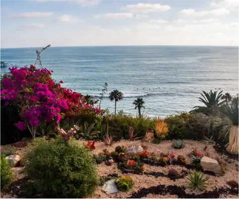 Photo of a garden with the ocean in the background