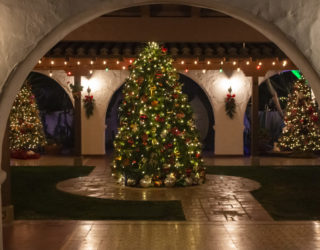 Christmas tree in courtyard